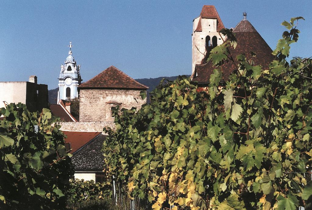 Winzerhof - Gaestehaus Stoeger Dürnstein Eksteriør billede
